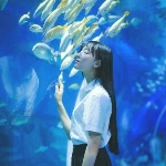 A丁榕-靶向溶栓.净血液.防梗降四高的头像